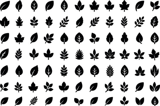 Leaf Icons Set &ndash; 60 Minimalist Filled Leaf Vector Icons Collection, Botanical Nature Silhouette Symbols