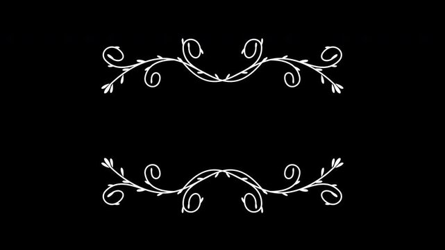 Elegant hand drawn floral swirl flourish frame animation on black background.