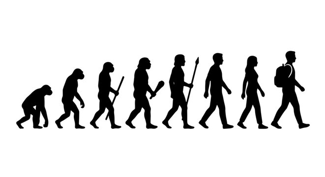 Human Evolution Silhouette Series, Primate to Modern Man Progression, Scientific Development Concept, Anthropological Journey Vector