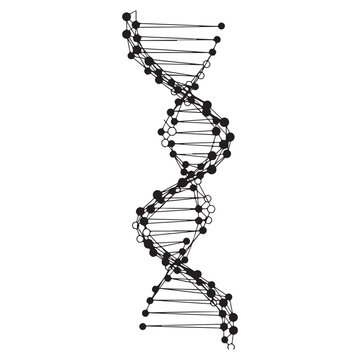DNA double helix vector illustration with black lines and nodes for genetic research and biotechnology