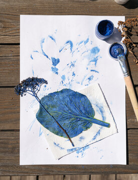 Crafting natural elements, creating leaf prints on paper using blue paint, brush, preserved botanicals. nature printmaking art project