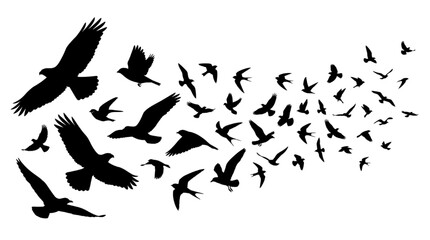 Naklejka premium Black silhouettes of a flock of birds flying across a white background