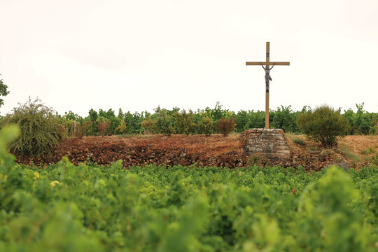 A wooden cross stands on a stone base above green vineyards in the Burgundy wine region of France, symbolizing faith amid the tranquil countryside.