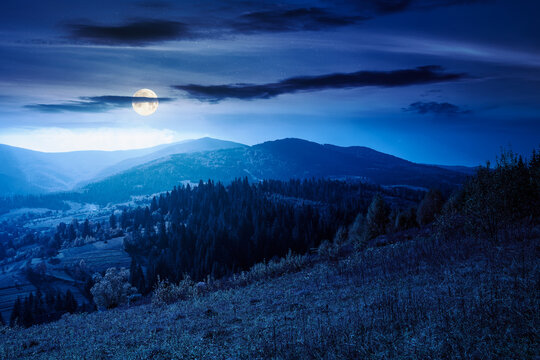 countryside mountain landscape in autumn. weathered grassy field on a hill near forest. rural night background. alpine highland of ukraine in full moon light