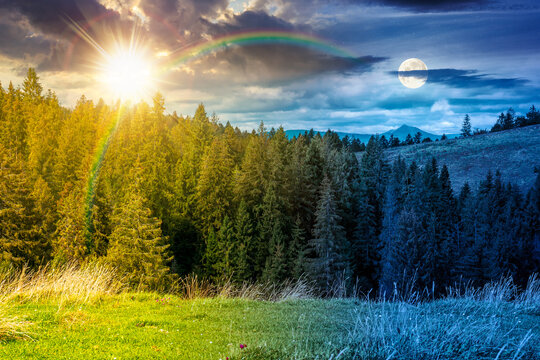 nature scenery with coniferous forest in mountain. day meet night. sun and moon over carpathian landscape with spruce woodland on the hill at twilight. ukraine nature background on autumn equinox