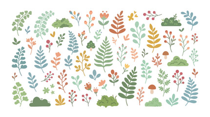 Collection of assorted fern leaves and berry sprigs © Hana