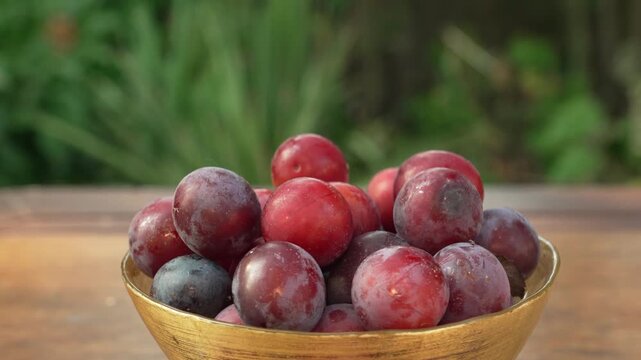 Freshly harvested homegrown organic plums rotating on turntable