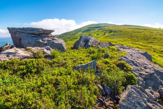 mountain landscape on a summer morning. beautiful outdoor scenery of carpathian mountains. grassy slopes with rocks. image for ukraine travel background