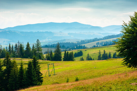 rural scene in carpathian mountain landscape. summer countryside view with rolling hills in lush green grass. forested slopes in the distance