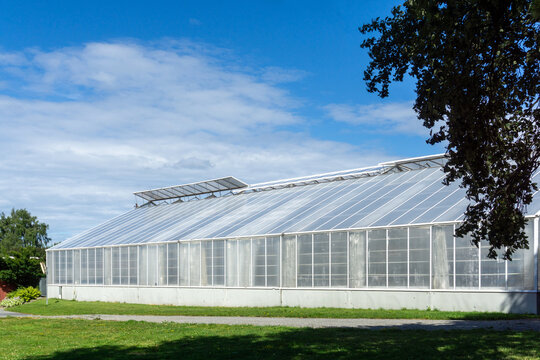 Greenhouse glass building for plant cultivation under blue sky