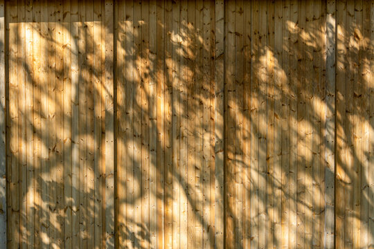 Wood panel fence with tree leaves shadows and sunlight