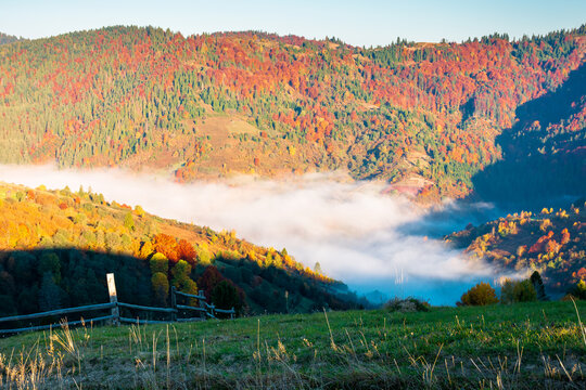 valley in morning fog. carpathian mountain landscape in autumn. scenic view of an alpine countryside in fall season