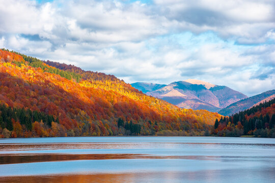 landscape with lake in autumn. scenic view of forest reflection on the lake surface. rika river water reserve. transcarpathia in fall season