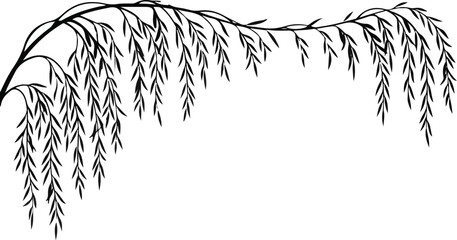 Hanging weeping willow branch arch top border vector silhouette illustration © SHARMIN