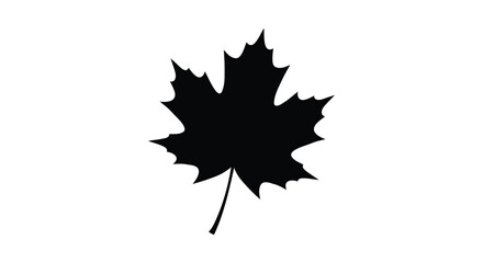 Fototapeta premium Maple leaf silhouette on a white background