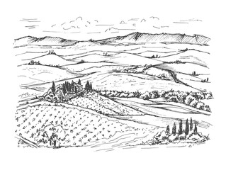 Fototapeta premium Sketch of Val d'Orcia Tuscan Landscape with Hills and Farmhouse