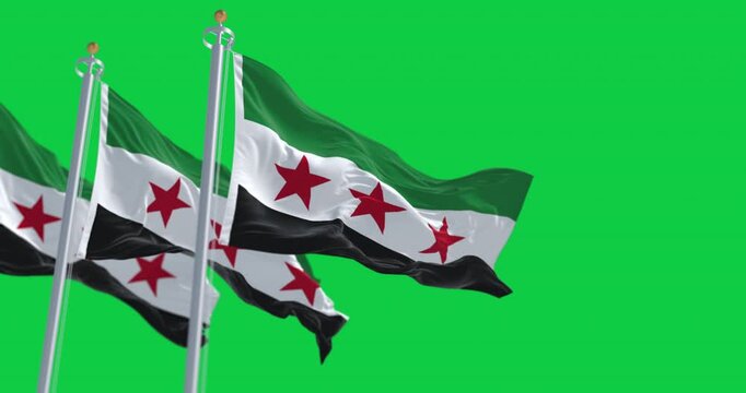 Syria national flags waving isolated on green background