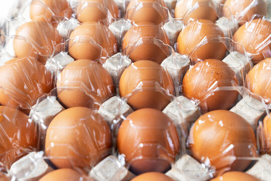 Chicken eggs in cardboard box with plastic cover for protection, Chicken egg business, Horizontal view