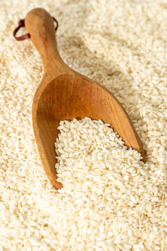 Rice with a scoop closeup 