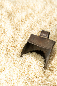 Rice with a scoop closeup 