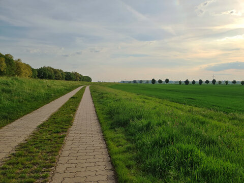 double lane narrow paved path trough a fresh green meadow agricultural landscape in cloudy morning sun