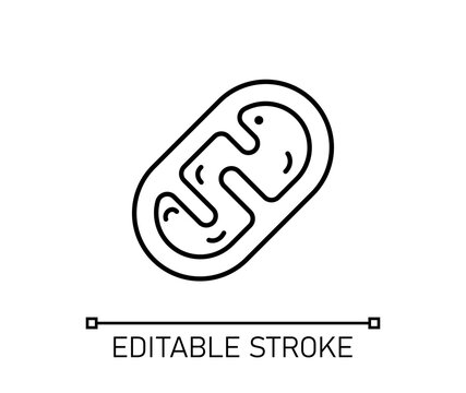editable black mitochondria icon, isolated monochromatic vector