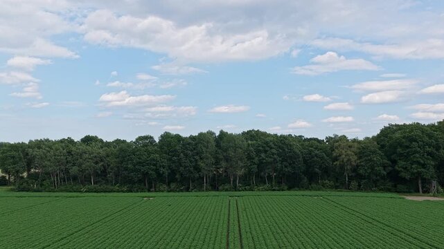 Electricity pylon. Nature summer environment. Electricity tower. Electricity power lines in nature landscape. Green nature energy. Landscape of electric voltage station. High voltage. Rural landscape