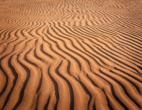 seamless sand texture with wavy patterns close up of sand showing natural wavy patterns and texture