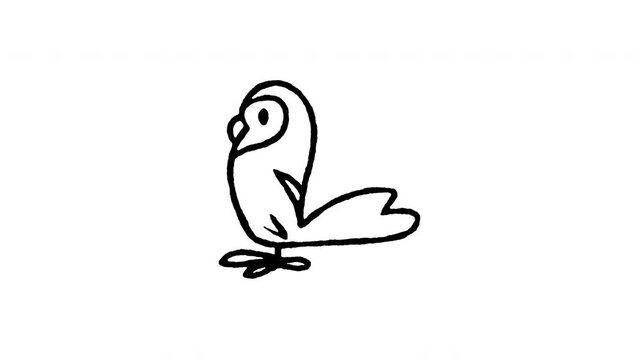 Hand drawn 4K talking parrot doodle animation with boiling line movement. Frame by frame line art on black and green screen backgrounds for pirate bird companion, exotic macaw, and tropical perching.