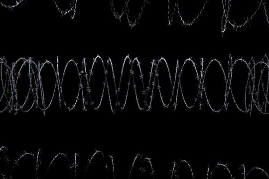 Coiled barbed wire glowing in the dark against a solid black background. Dramatic high-contrast conceptual image symbolizing security, confinement, danger, and strict border control.