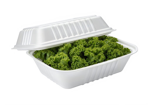 Fresh green salad in a white takeout container