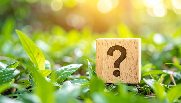 Natural wooden block with question mark standing among vibrant green leaves and plants outdoors, peaceful natural atmosphere, FAQ, questions and answers concept. Close-up.