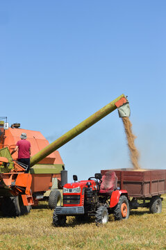 Farmer unloading grain from combine harvester into tractor trailer during wheat harves