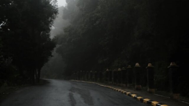 Foggy Mountain Road Through Dense Forest in Bromo Tengger Semeru National Park, Indonesia