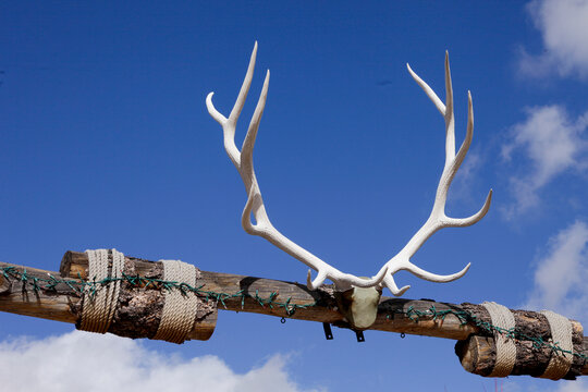 Antlers on Rustic Gate Along Route 66