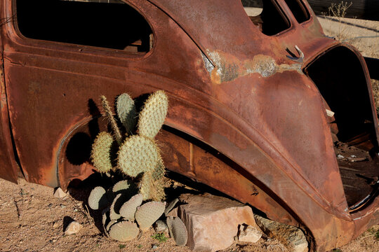 Rusted Vintage Car with Cactus Along Route 66
