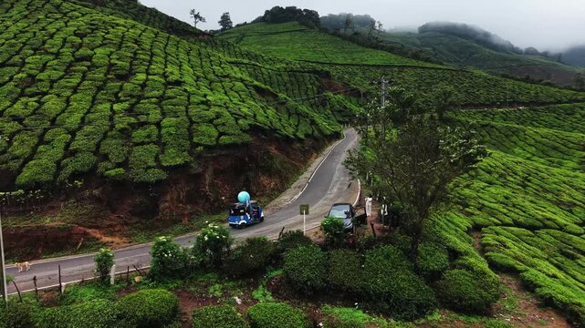 Aerial view of vehicles on a winding road through tea plantations in Kerala, India