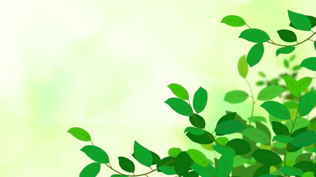Green leaves nature background