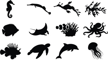 Tropical Marine Animal Silhouette Icon Collection with Ocean Life and Underwater Creature Symbols for Graphic Design Projects © GeetaRani