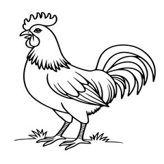 Rooster standing in grass. Black line drawing of a male chicken. © Rahman ullah 