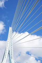 Fototapeta premium modern cable-stayed bridge stands tall against a cloudy sky in an urban design setting, showcasing metallic cables and concrete or steel bridge structure, captured from a low angle.