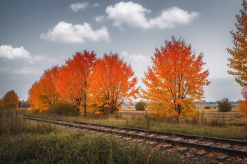 Obraz premium Old railway tracks stretch through a field lined with vibrant autumn trees showcasing fiery orange and red leaves under a cloudy sky. Nature path leads through fall foliage. Season travel.