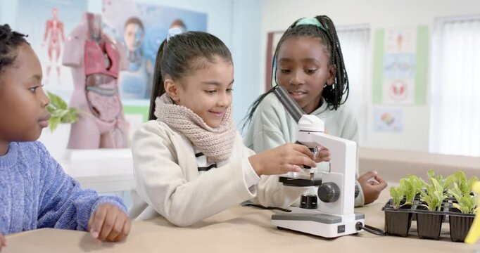 Classmates children operating microscope, adjusting slide and examining seedlings during lab