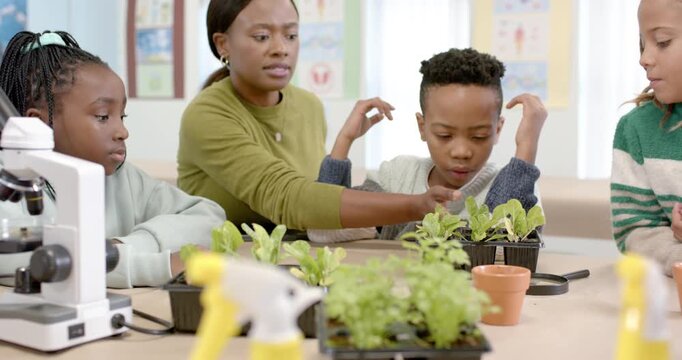 African American teacher speaking, guiding pupil touching plug tray with microscope at class table