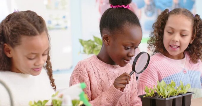 Three schoolgirls picking up magnifier, inspecting seedlings at classroom table, sharing magnifier