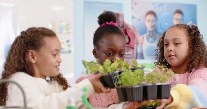 Diverse schoolgirls passing seed trays as left girl reaching, inspecting sprouts for science lesson