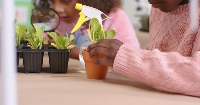 African girls in pink knit selecting seedlings from tray, planting in terracotta pot for classwork