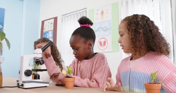 Diverse schoolgirls handling plant, preparing slide and adjusting microscope at lab to view cells