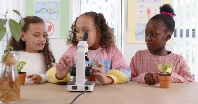 Female children in science class, center girl using microscope, examining slide as peer holding pot
