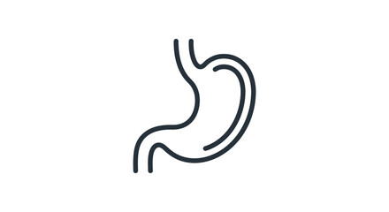 Fototapeta premium Minimal Human Stomach Line Art Icon